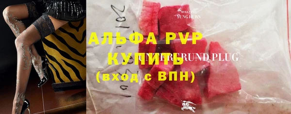 прущие грибы Вяземский