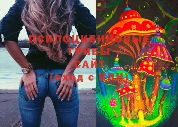 прущие грибы Вяземский