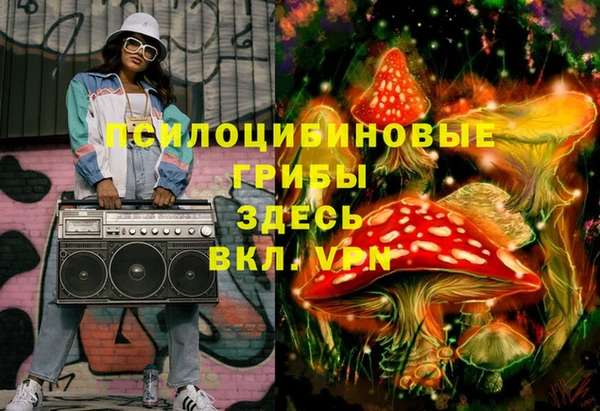 прущие грибы Вяземский