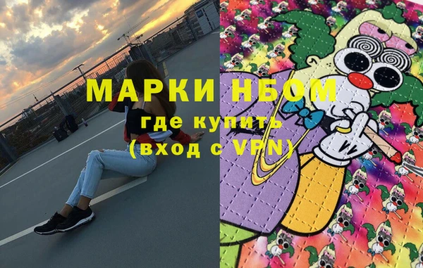 прущие грибы Вяземский