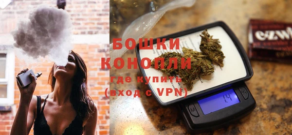 прущие грибы Вяземский