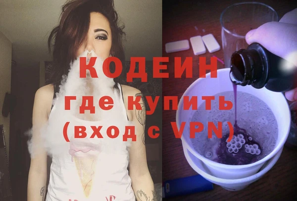 прущие грибы Вяземский