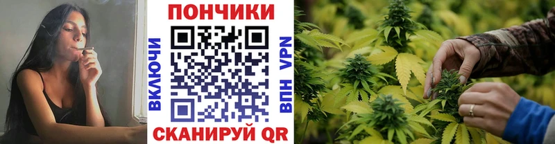Марихуана MAZAR  Купить где  Приволжск 